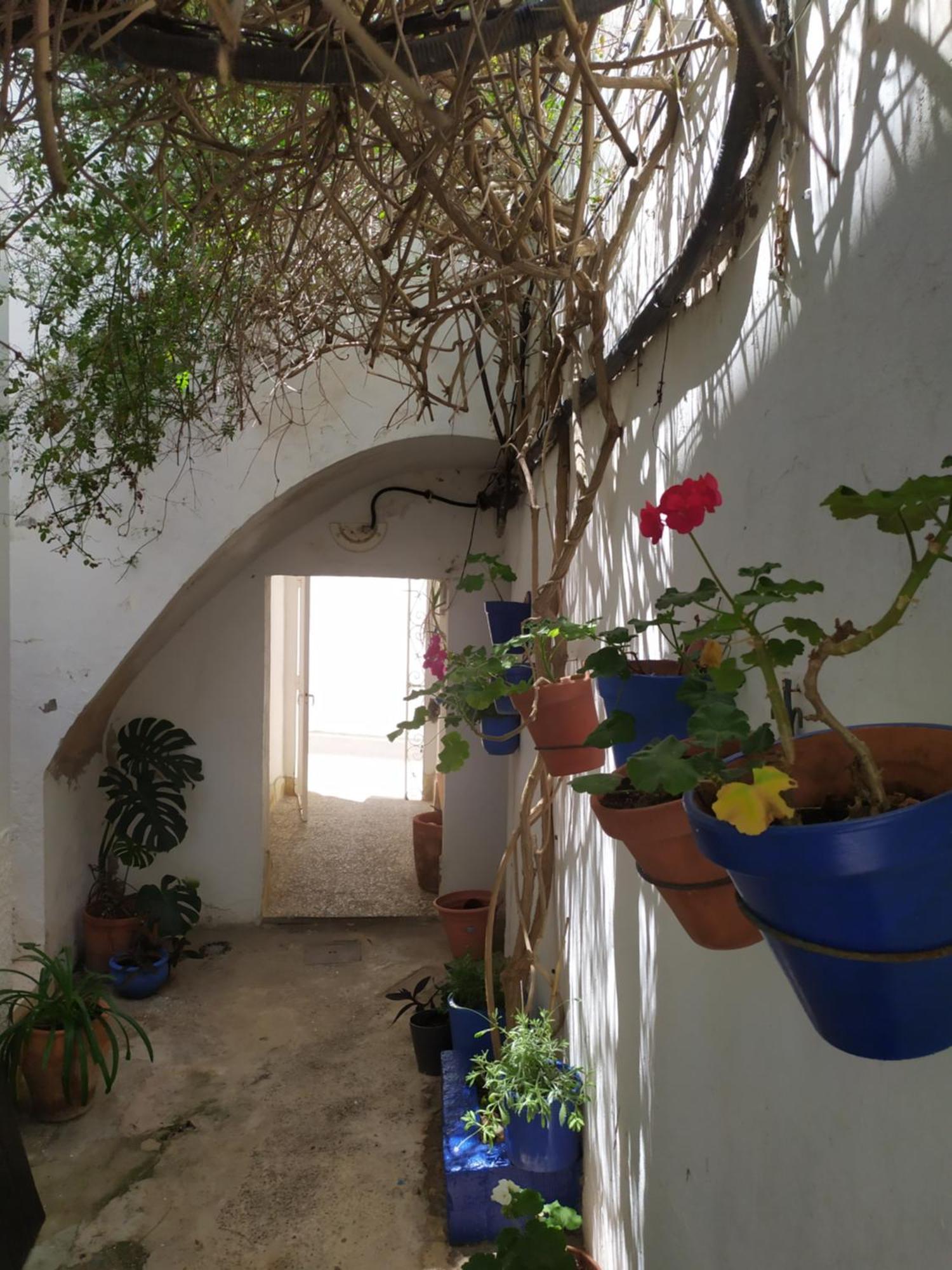 Apartmán Azotea Vistas A 5M De La Playa. Recien Restaurado Conil De La Frontera Exteriér fotografie
